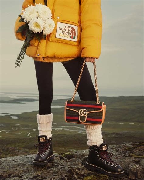 gucci and north face campaign|north face Gucci shop online.